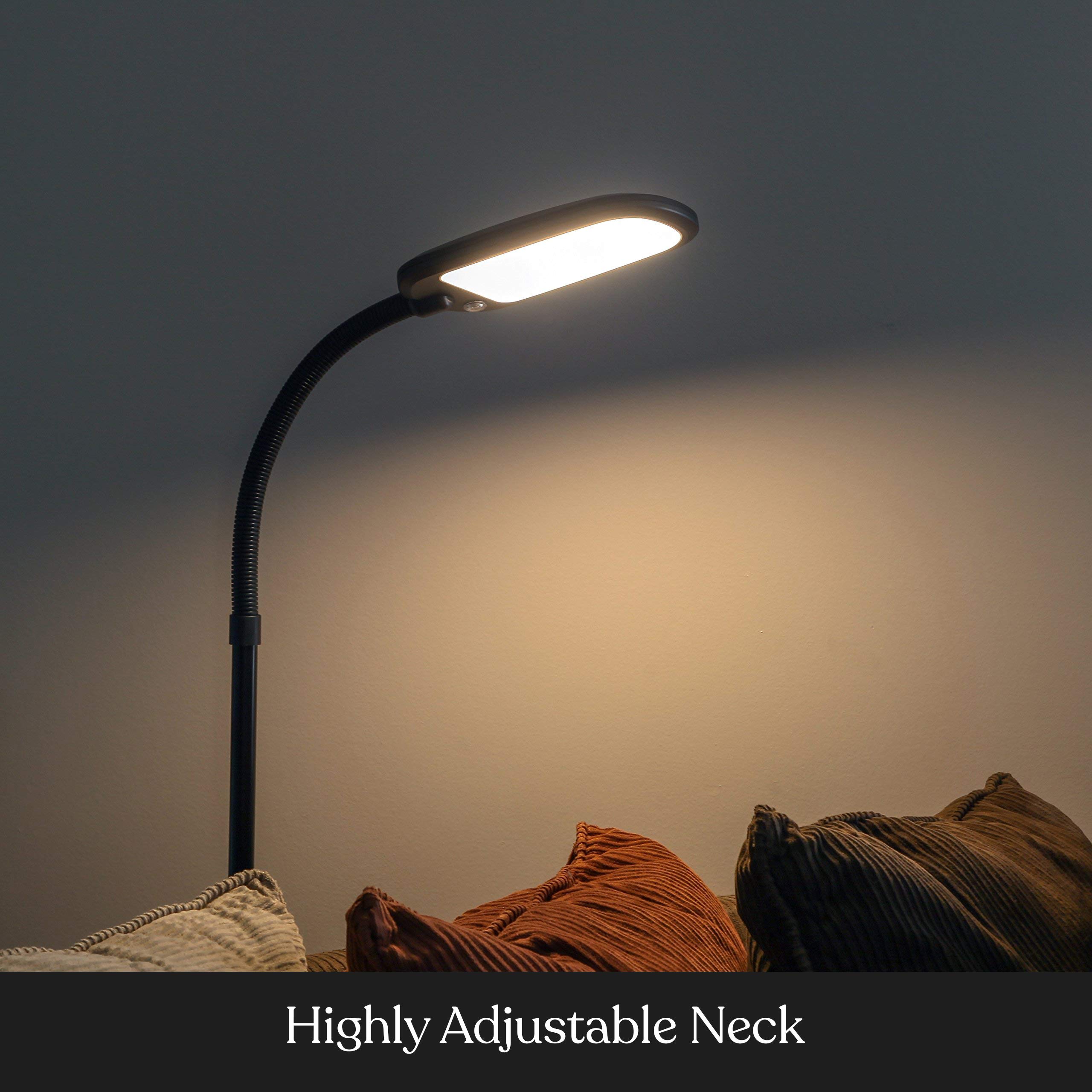 Brightech Litespan Slim LED Floor Reading Lamp - Tall with Adjustable Gooseneck, Dimmable for Living Rooms, Offices & Bedrooms - Black