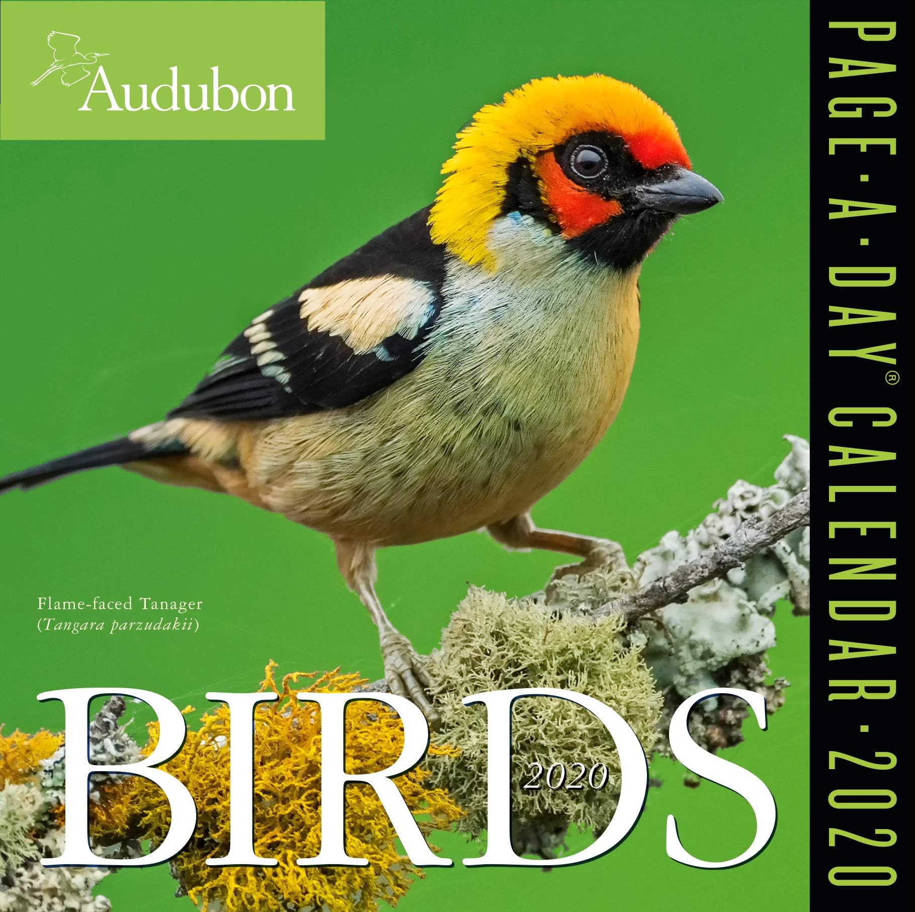 Audubon Birds Color Page-A-Day Calendar 2020 [6" x 6" Inches]