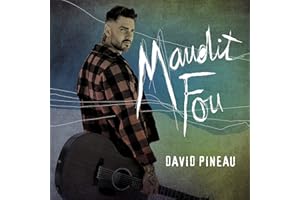 Maudit Fou