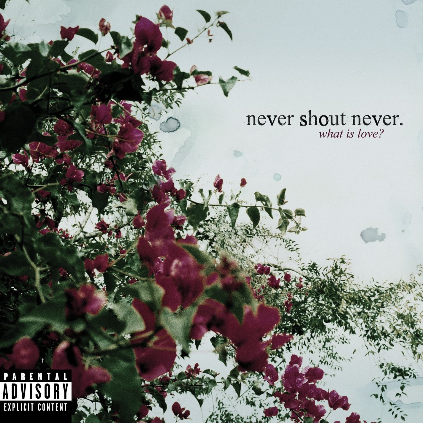Never Shout Never What Is Love? Music