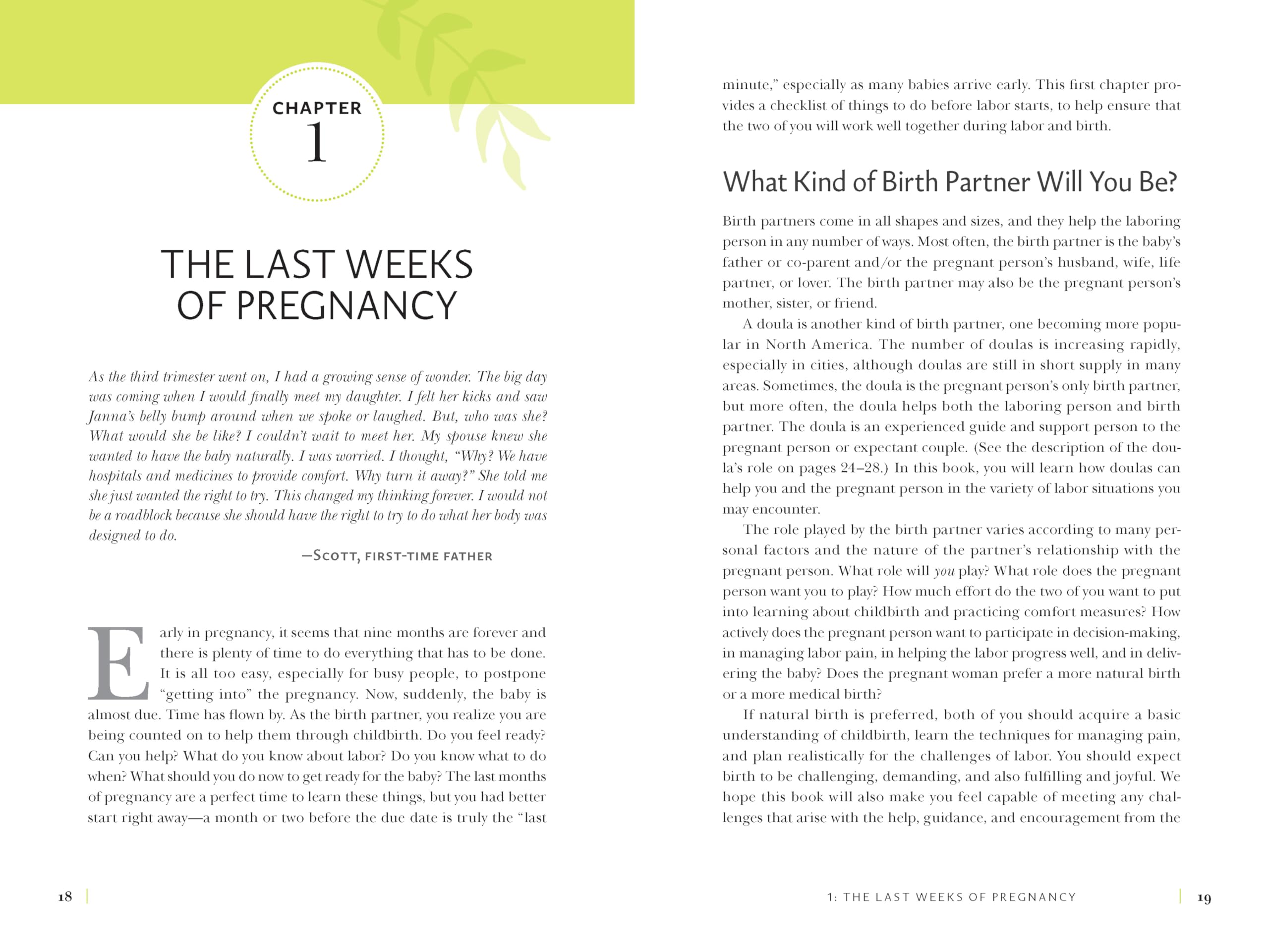 The Birth Partner, Sixth Revised Edition: A Complete Guide to Childbirth for Dads, Partners, Doulas, and Other Labor Companions Dec 10, 2024