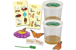 Insect Lore Two Cups of Caterpillars Deluxe - 10 Live Baby Caterpillars with Stickers - Raise and Relase Painted Lady Butterf