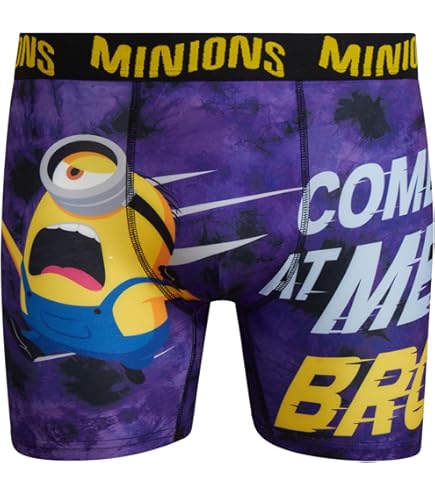 ウェア F.C.R.B MINIONS PRACTICE SHORTS size M ウェア F.C.R.B MINIONS PRACTICE SHORTS size M Minions Shorts