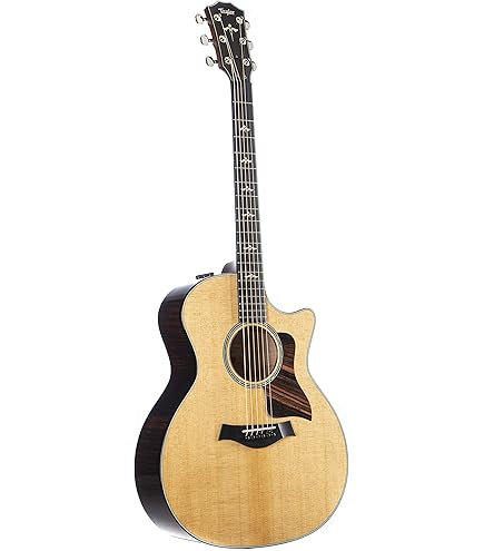 Amazon.com: Taylor 914ce - Rosewood Back and Sides with V