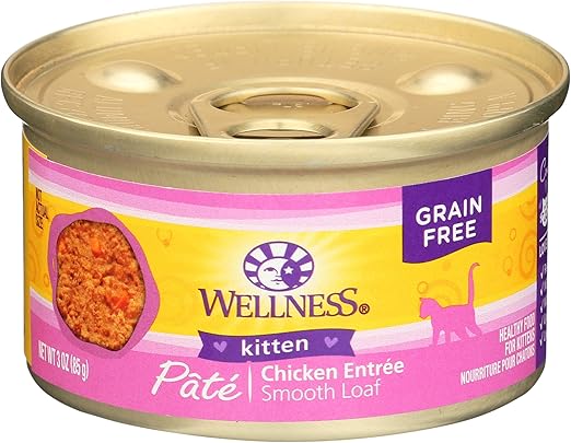 amazon wellness cat food