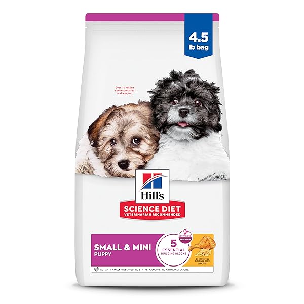 HILL’S SCIENCE DIET PUPPY SMALL & MINI BREEDS DRY DOG FOOD, CHICKEN, BROWN RICE, & BARLEY, 4.5 LB BAG
