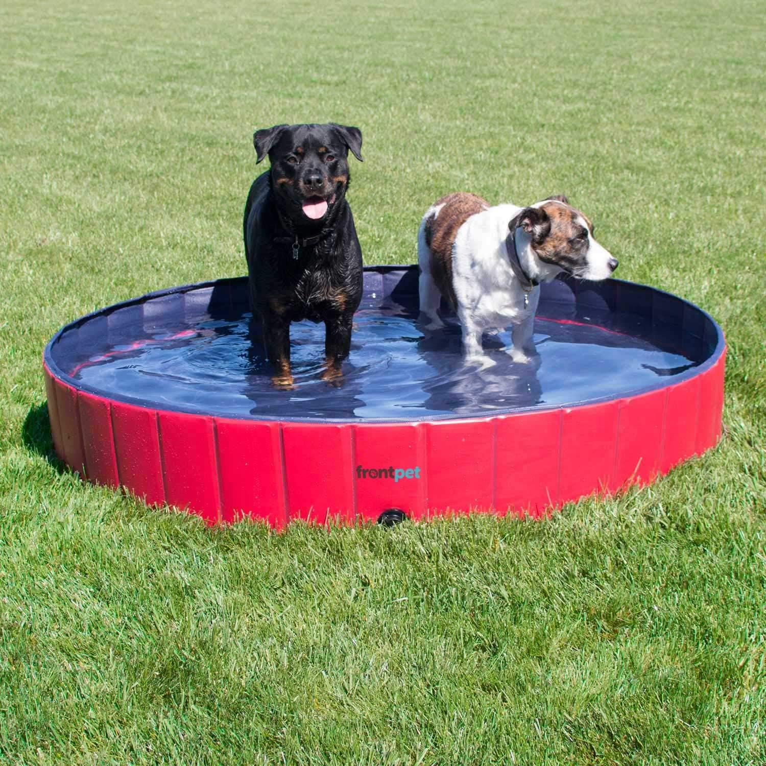 foldable dog pool