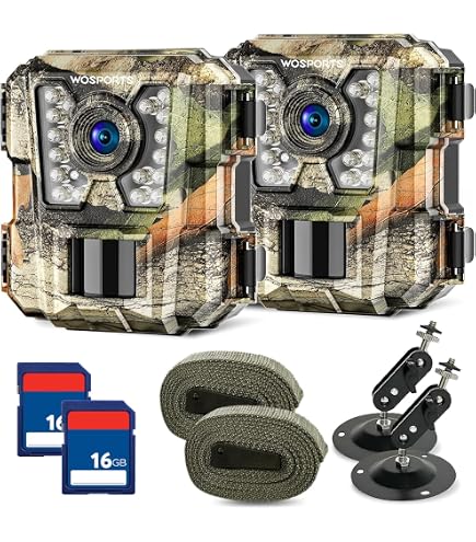 Amazon.com: KJK 2 Pack Trail Cameras 36MP 2.7K, 8AA Batteries