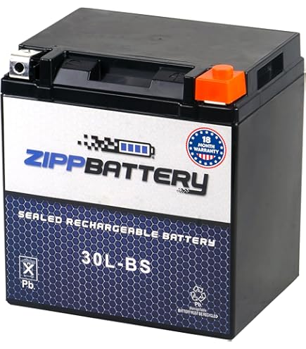Amazon.com: BikeMaster Performance Conventional Battery