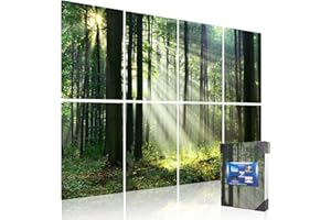 Mollywell Art Acoustic Panel | Large Size Soundproof Wall Art Decorative Painting | 48"x32"x0.4" Sound Dampening Wall Decor Artwork | Self Adhesive Sound Proof Foam Wall Panels,8 Pack, Forest Summer