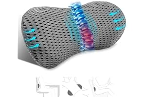 kasney Lumbar Support Pillow, Memory Foam Back Support Pillow for Office Chair, Car Seat, Gaming Chair, Recliner and Bed, Neo Cushion for Low Back Pain Relief (Mesh, Gray)