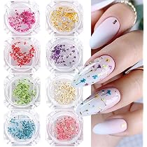 Amazon.com: SILPECWEE 8 cajas de flores secas para uñas, mini ...