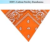 Lizzy Bandana Multipack 100% Cotton 55x55cm Orange Paisley Unisex view 2