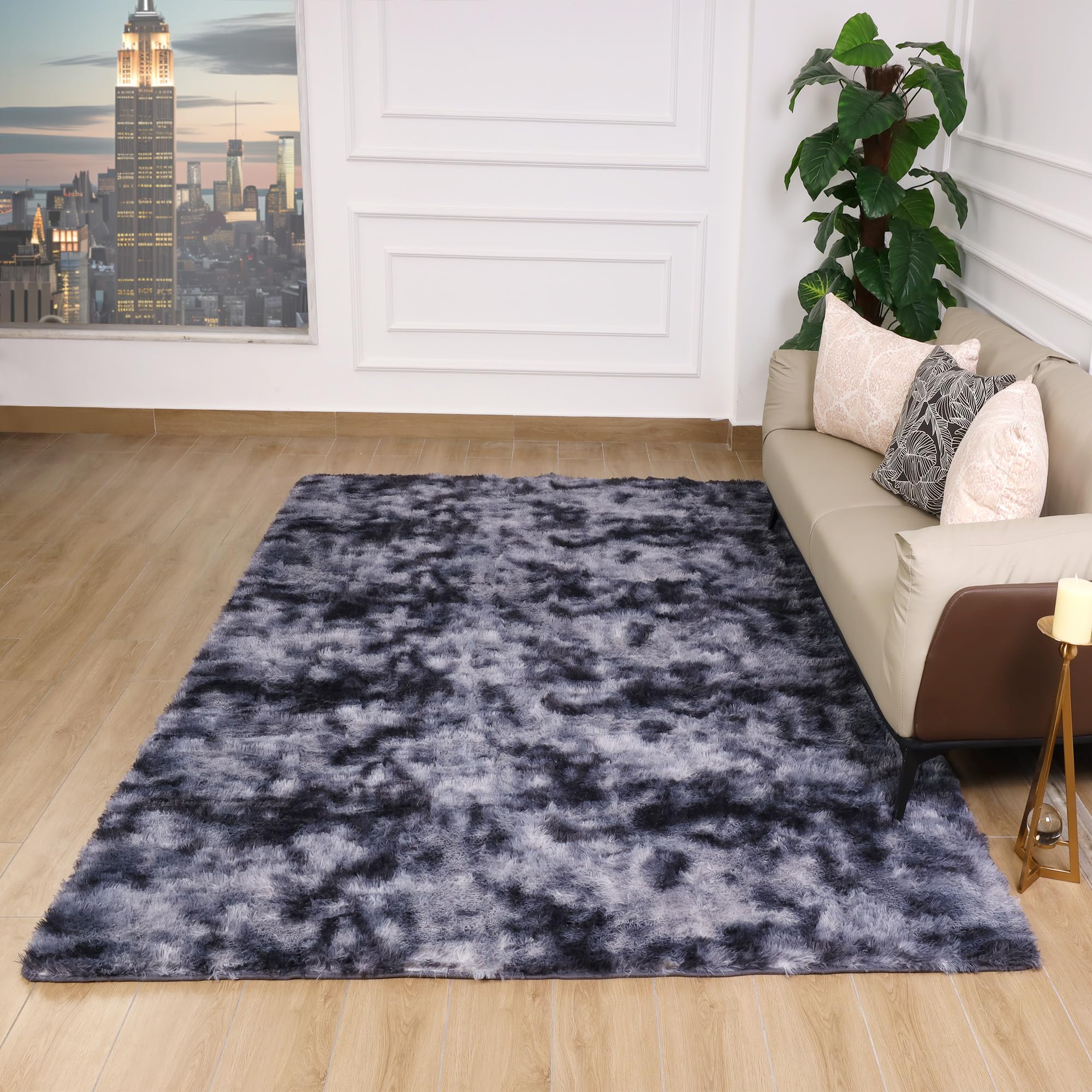 View 5