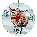 Santa Hat and Scarf Welcome Winter Brown Tabby