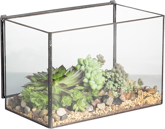 NCYP Glass Geometric Terrarium Box With A Lid Tabletop Black Planter