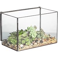 NCYP Glass Terrarium Box with Lid for Succulent, Small Plants - Tabletop Rectangle Clear Geometric Planter Pot, 17x10x12 cm, 