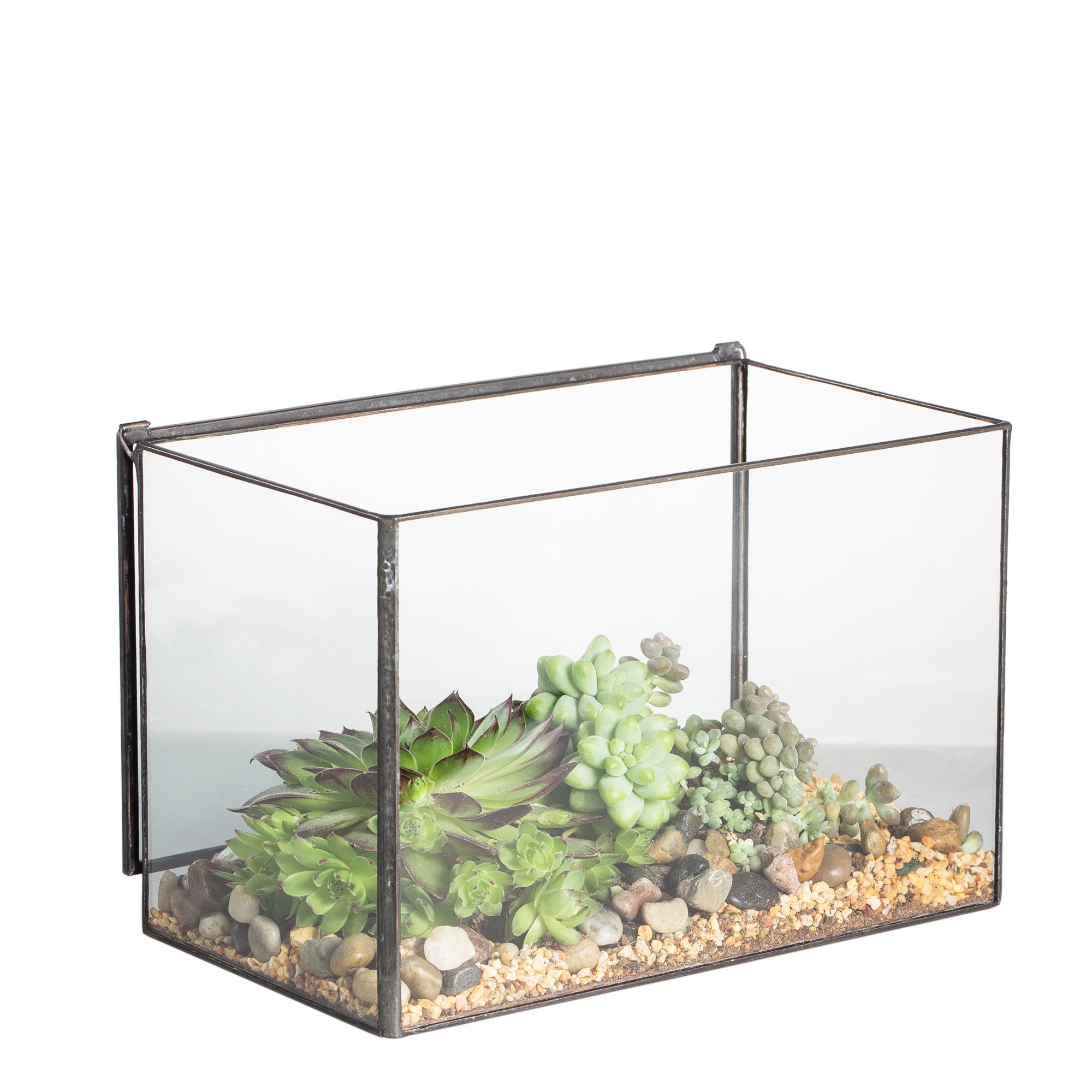 NCYP Small 17x10x12 CM Glass Terrarium Box With Lid, Tabletop Black Rectangle Planter, Handmade Clear Flower Pot for Succulent Air Plants Fern, Modern Home Decor (No Plants)