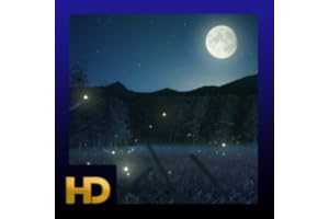 Enchanted Night HD