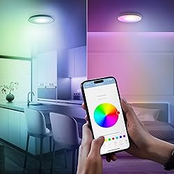 Feit Electric Smart Ceiling Light