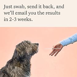 Wisdom Panel Premium Dog DNA Kit: Most