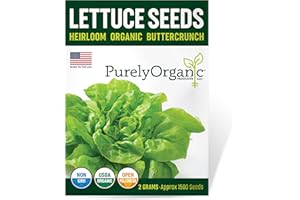 PURELY ORGANIC PRODUCTS LLC Organic Lettuce Seeds (Heirloom Buttercrunch) - Approx 1500 Seeds - Certified Organic, Non-GMO, Open Pollinated, Heirloom, USA Origin
