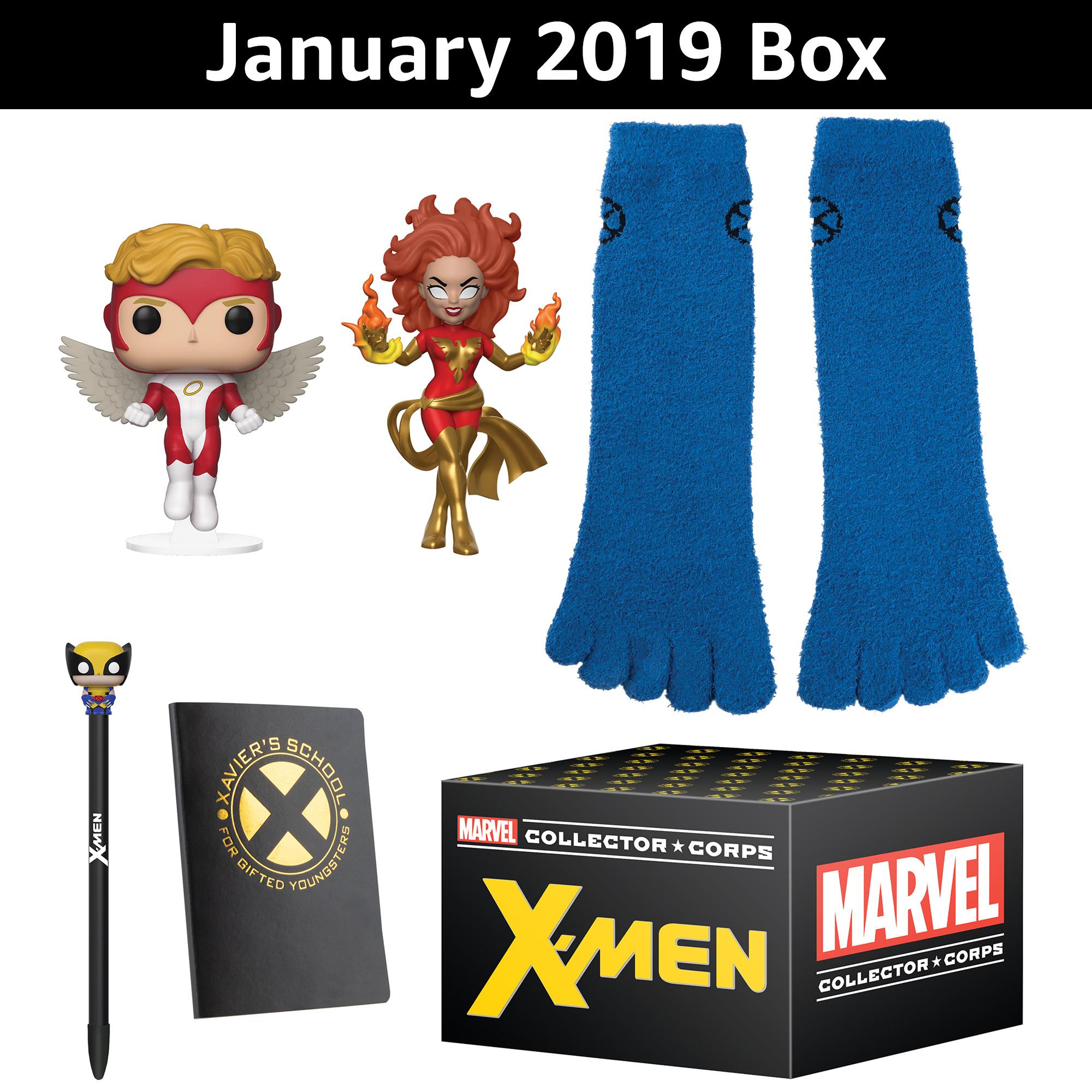 Funko Marvel Collector Corps Box on Galleon Philippines
