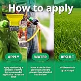 A1 Lawn Ultimate Autumn Winter Fertiliser 10kg - High Potassium NPK 6-5-10 view 4