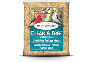 Morning Song Clean & Free No Mess Wild Bird Seed – 12 lb. Shell-Free Bird Food Blend with Sunflower Chips, Peanuts & Canary Seed – No Waste Bird Food for Outside Feeders