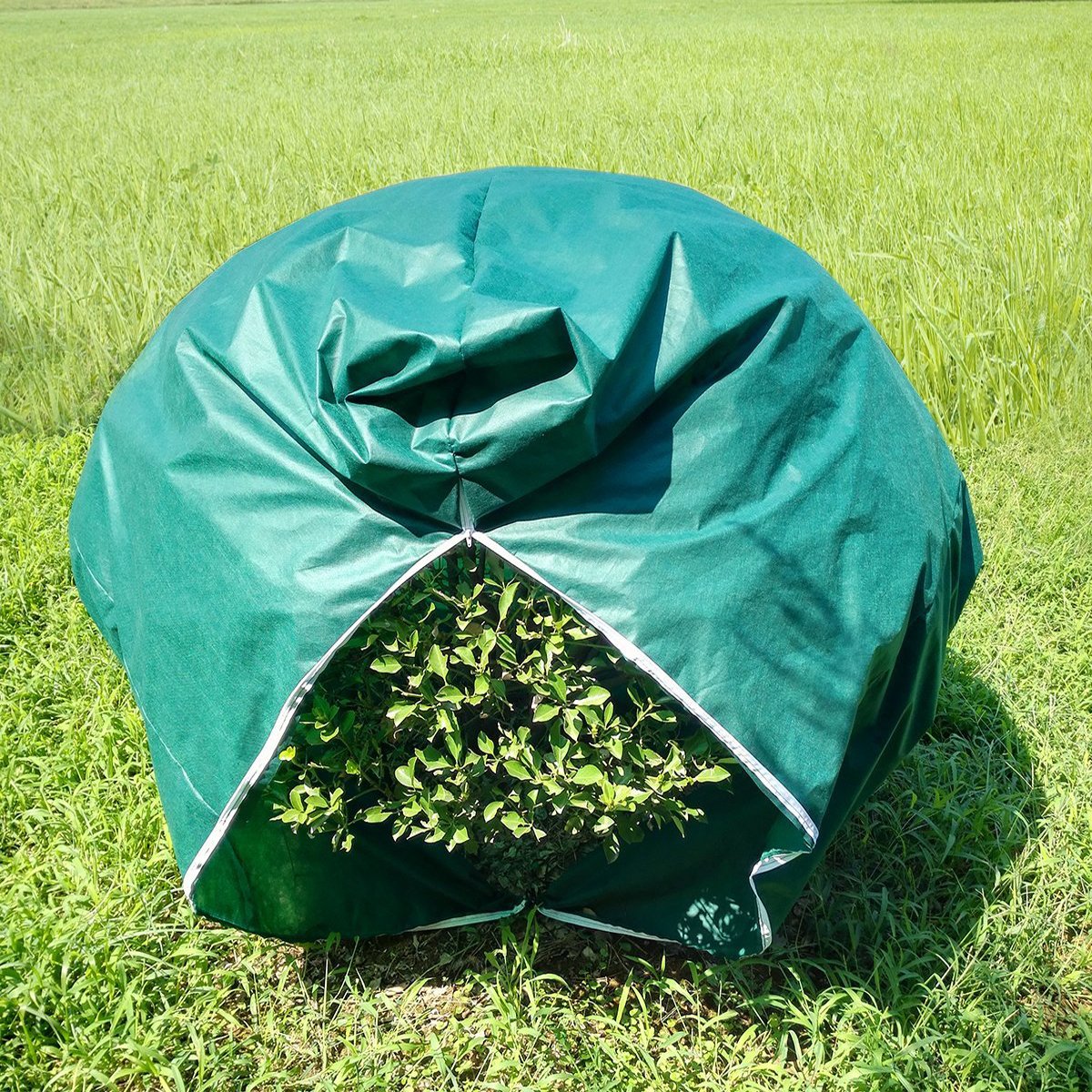 Agfabric 96''x108'' Zipper Rectangle Plant Cover for Frost Protection