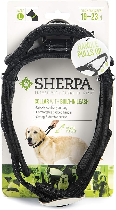 collar with built in leash