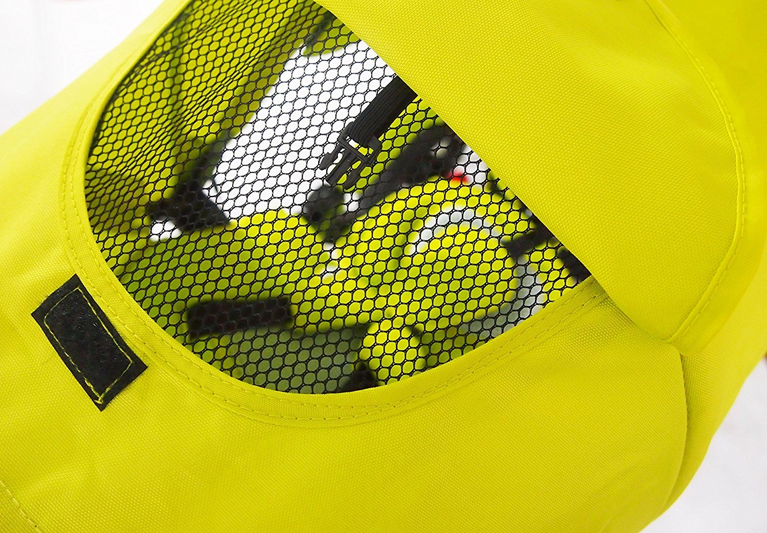 little tiger trike 6 in 1