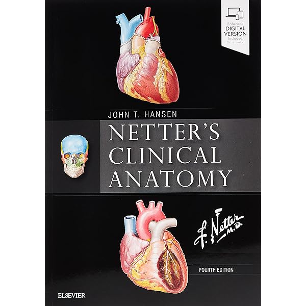 Netter's Clinical Anatomy (Netter Basic Science): 9780443378553