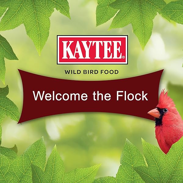 KAYTEE CARDINAL SEED CAKE, WILD BIRD FOOD, 1.85 POUNDS