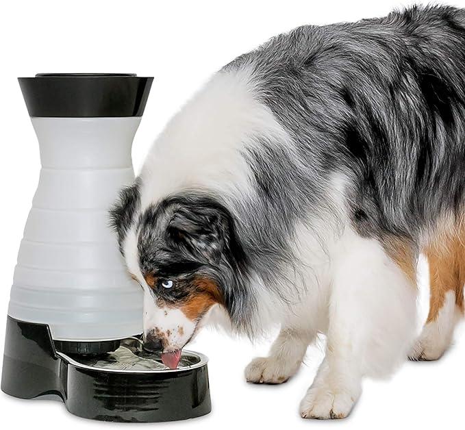 stainless steel dog water dispenser