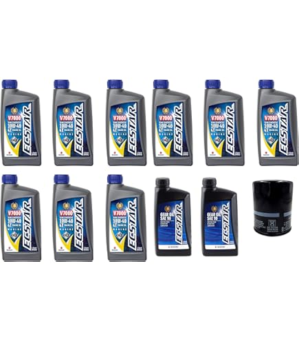 Amazon.com: Suz uki Oil Change Kit for DF175 with 9 quarts