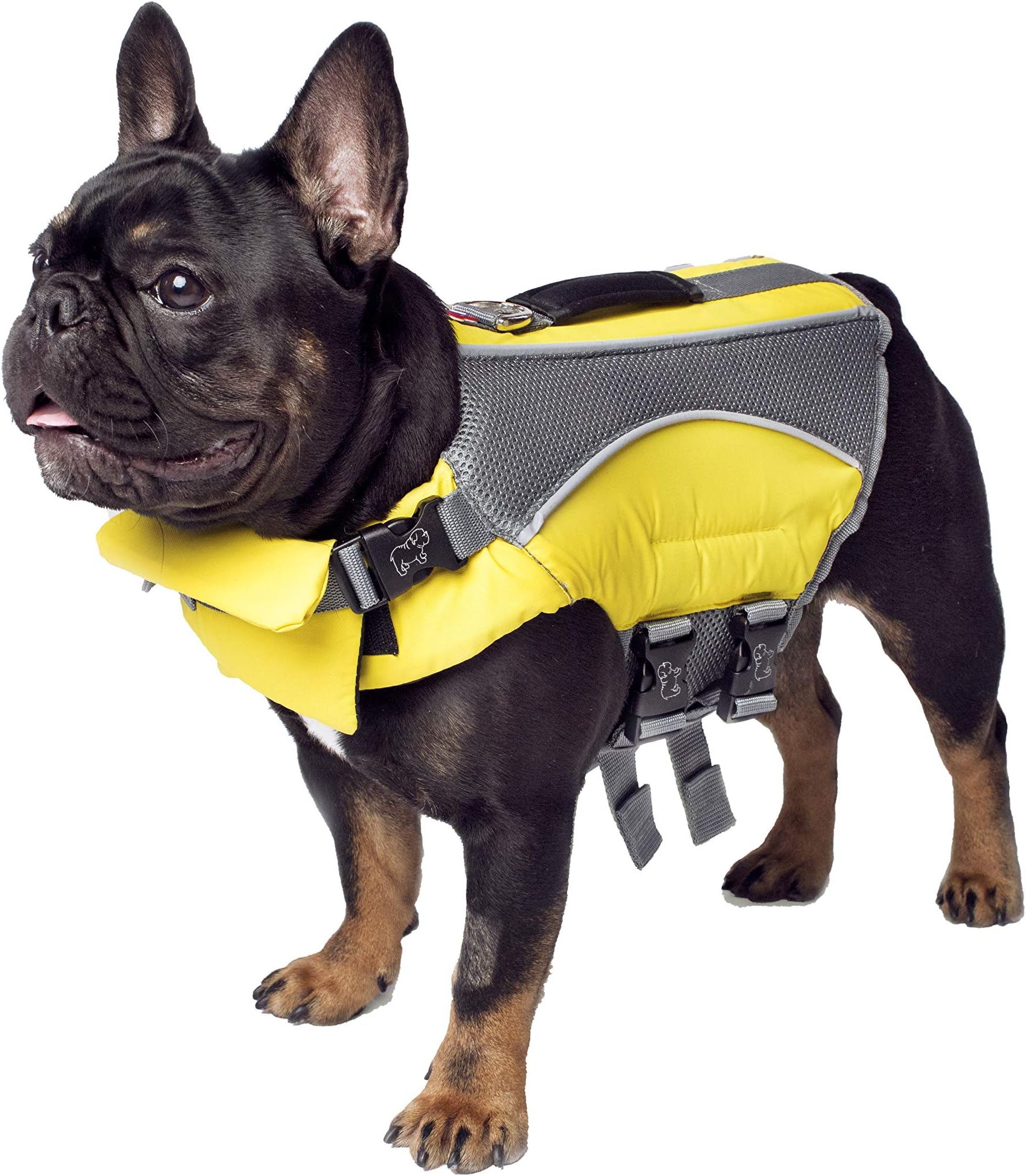 Canada Pooch Dog Life Jacket - Buoyant Dog Life Vest for Safe Swimming | Bright Yellow Adjustable Life Jacket for Dogs with Assistance Handle, Great for Dogs