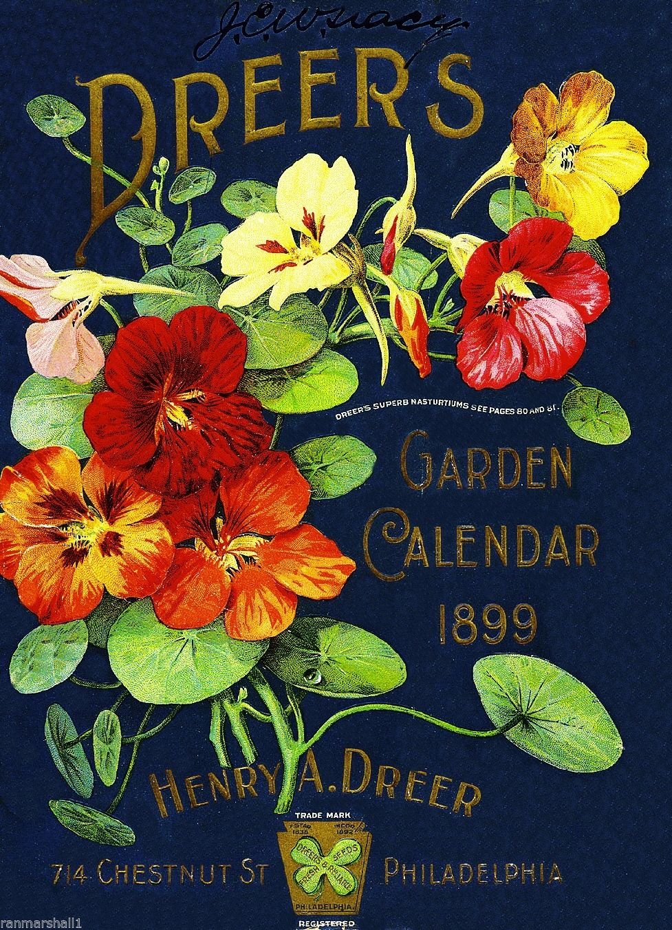 A SLICE IN TIME 1899 Philadelphia Pennsylvania Dreer's Garden Vintage Flowers Seed Packet Catalogue Travel Advertisement Collectible Wall Decor Poster Print. Measures 10 x 13.5 inches