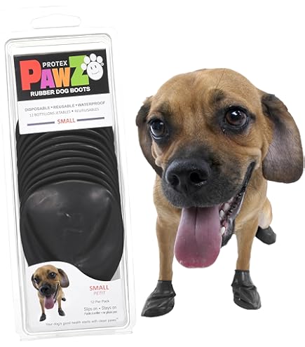 Amazon.com : Goo-eez Lites - Black (XS) : Pet Supplies