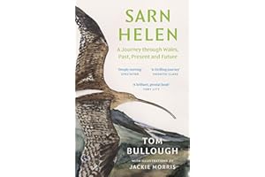 Sarn Helen: A Journey Through Wales, Past, Present and Future