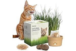 AVERGO Cat Grass Kit for Indoor Cats – x3 Seed Packets | Cat Grass Seeds with Recyclable Planter & Coconut Coir Expanding Soil Discs – Wheatgrass Grass