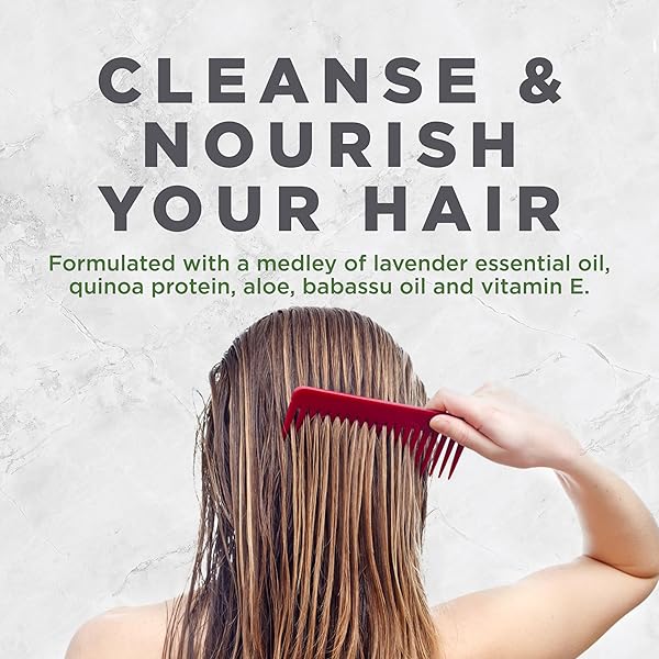 AVALON ORGANICS REVITALIZING LAVENDER SHAMPOO, 32 OZ