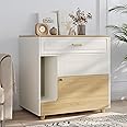 Faceket Cat Litter Box Enclosure - Indoor Litter Box Furniture Hidden with Drawer and Door - 32"x19"x32"H
