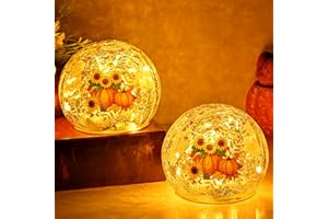 FRAMICS 2 PCS Fall Decorations for Home 4" Sunflower Pumpkin Crackle Glass Balls Led Globe Light with Timer Thanksgiving Decorations Lighted Fall Decor Thanksgiving Centerpieces for Tables Gift