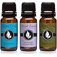 Trio (3) - Eucalyptus, Lavender Chamomile & Frankincense - Premium Fragrance Oil Trio - 10ML