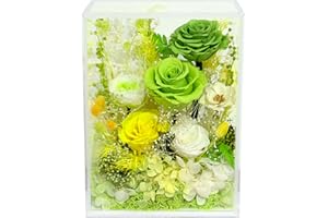 Valley of Rain & Forest Long-Lasting Real Flowers, Handcrafted Preserved Rose Bush For you to Send Love for All Occasions, Floral Arrangement for Indoor Decoration (Green Rose)