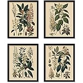 Poster Master 4-Piece Vintage Flower Poster - Retro Floral Print - Botanical Art - Chic Gift for Him, Her, Gardener, Florist 