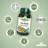 Natures Aid Sea Kelp 187mg 180 Tablets High Strength Iodine Supplement view 4
