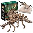 Dig & Discover Dino Stegosaurus Dinosaur Skeleton 3D Fossil Bones Excavation, Science Educational Toy Kit for Kids, Children