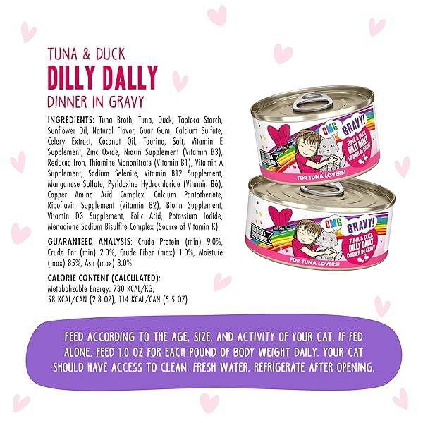 B.F.F. OMG – BEST FELINE FRIEND OH MY GRAVY!, TUNA & DUCK DILLY DALLY WITH TUNA & DUCK, 5.5OZ CAN (PACK OF 8)